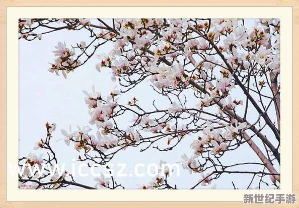 三浦惠理子****中出