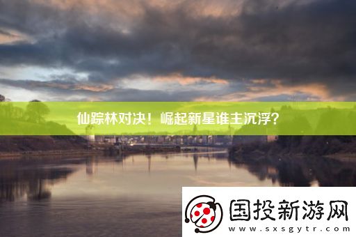 仙踪林对决!崛起新星谁主沉浮