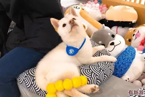羞羞百度首页入口