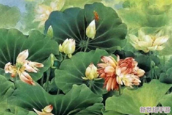 千层莲花裹茎术怎么练