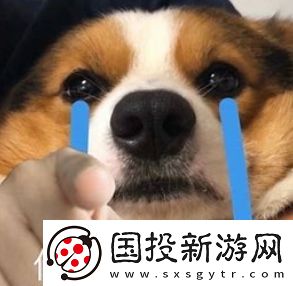 又幸福了是什么梗网络用语