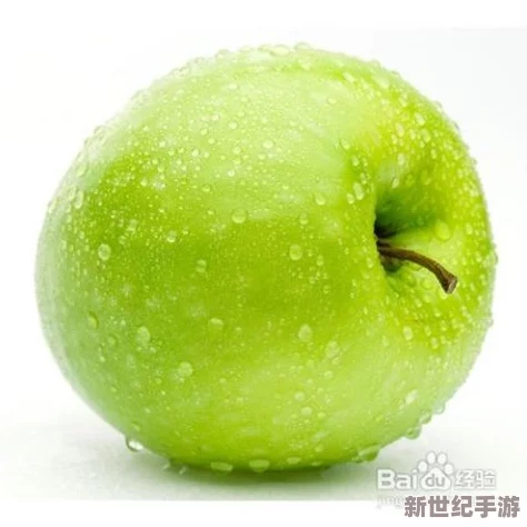 草莓丝瓜芭乐绿巨人樱桃秋葵粉色2023