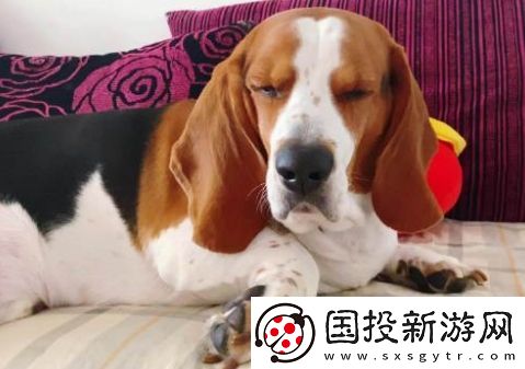 闷声发大闷是什么梗网络用语