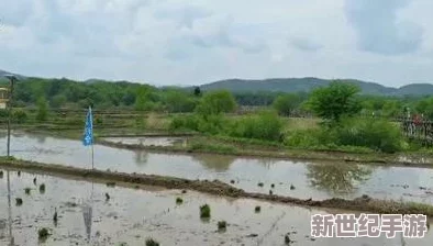 情侣插秧