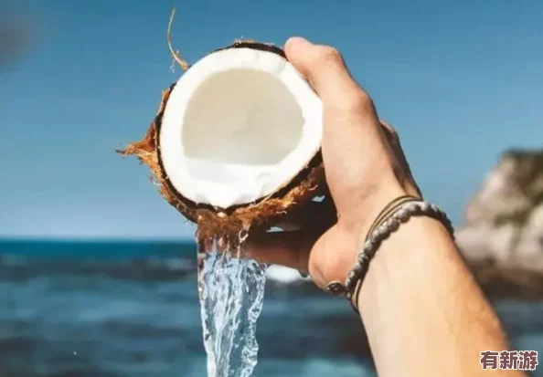 椰子酒升级效果