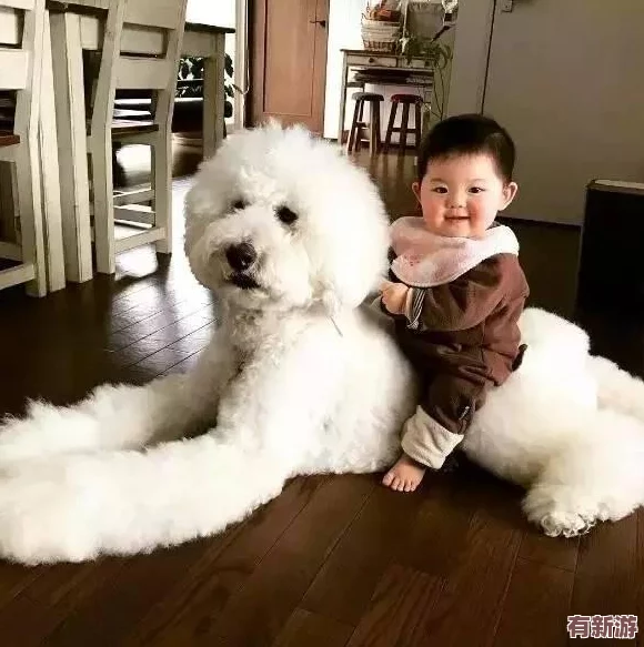 我的狗老公拉婆婆一起贴吧
