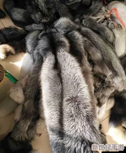 AAAA级毛皮属于什么档次