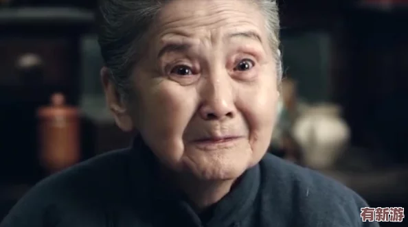多毛老太乂