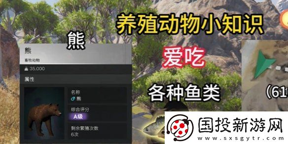 七日世界养殖什么动物