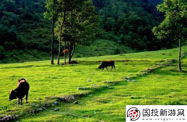 伊春园一路二路三路入口