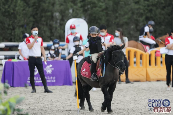 九色丨九一pony在线