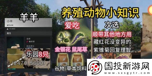 七日世界养殖什么动物