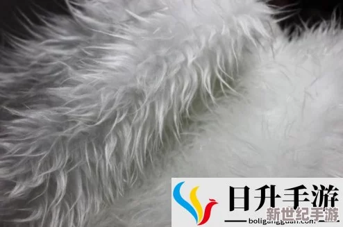 AAAA级毛皮属于什么档次