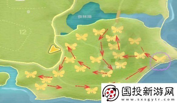 心动小镇金光宝石丽金龟怎么抓