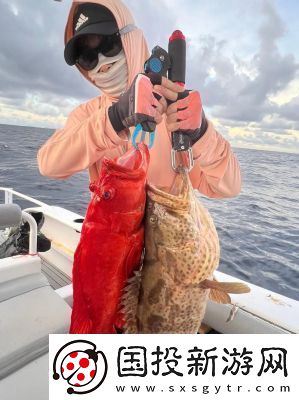 剑网3狼牙堡燕然峰石斑打法攻略详解【必看】