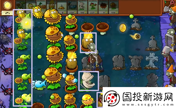植物大战僵尸杂交版冒险5关怎么过