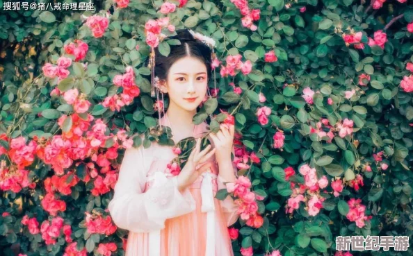 年轻的子3
