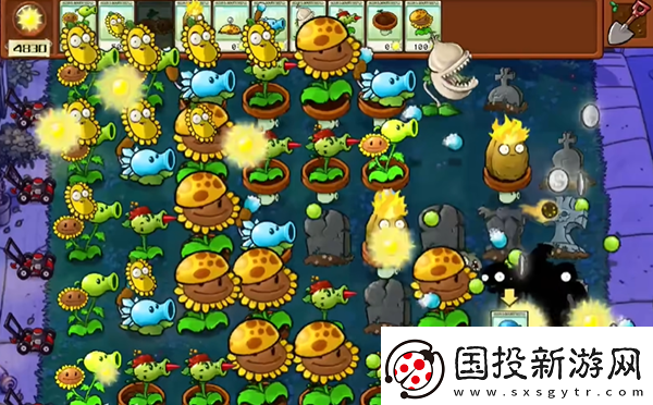 植物大战僵尸杂交版冒险5关怎么过