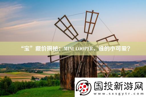 “宝”藏价揭秘