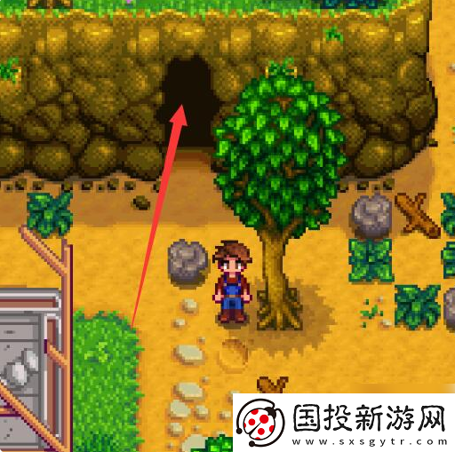 【玩家】星露谷物语羊肚菌怎么获得