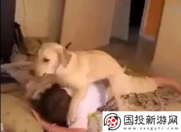 女人跟金毛发生产关系怎么办