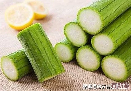 苏州丝瓜晶体公司