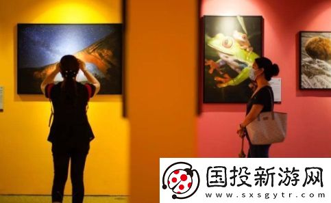 看展式社交是什么梗网络用语