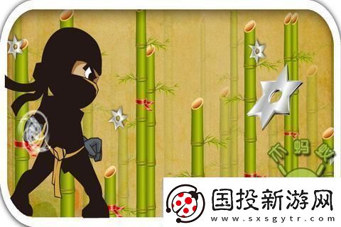 竹中忍者的另类修炼