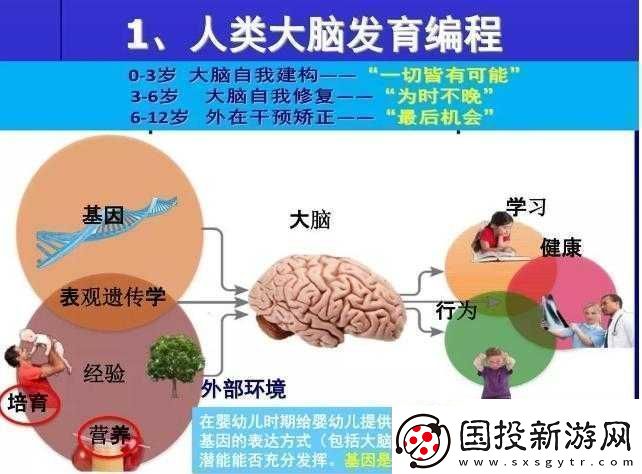 探索暴走武侠全角色成长之路