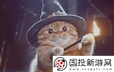 魔法猫猫是什么梗网络用语