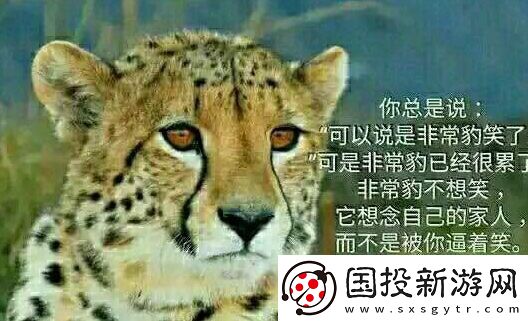 你不知道你不在乎你只关心你自己是什么梗网络用语