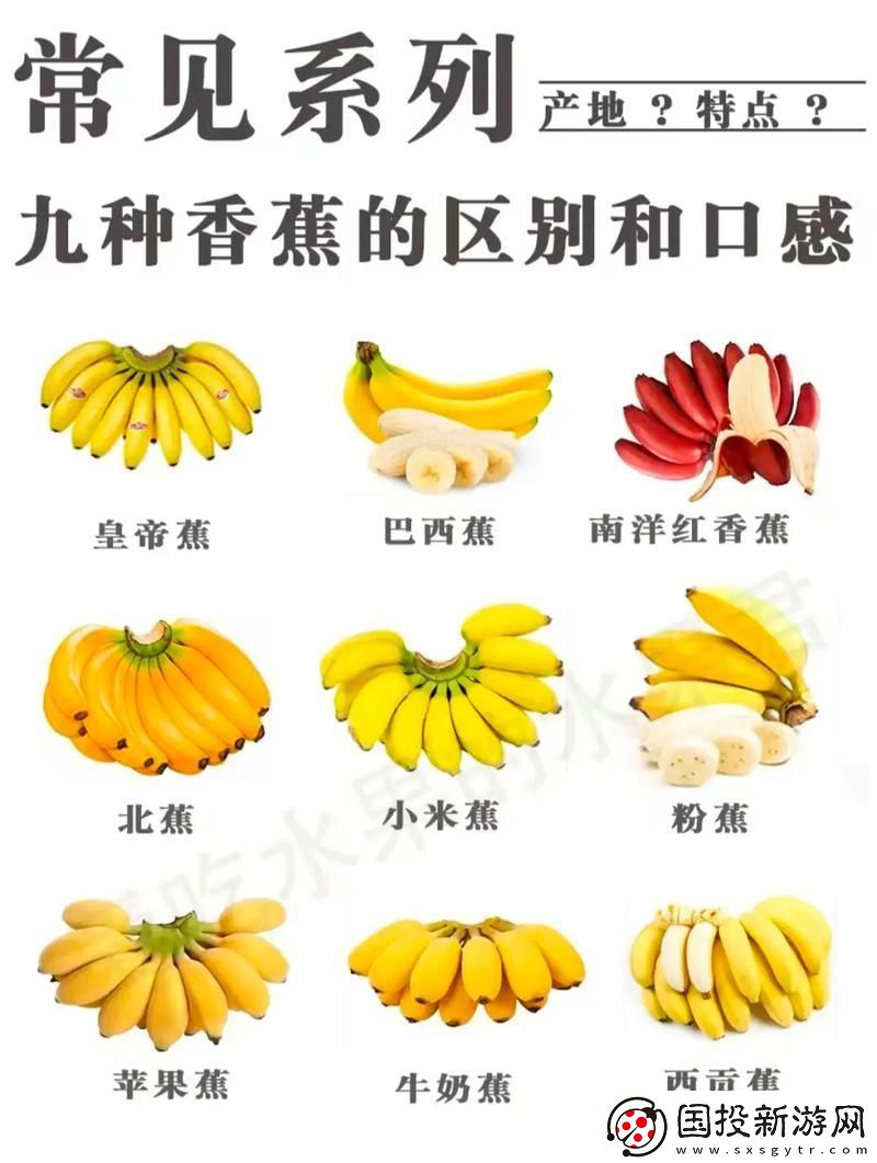 国产香蕉和进口香蕉的价格比较