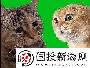 猫猫对话是什么梗络用语