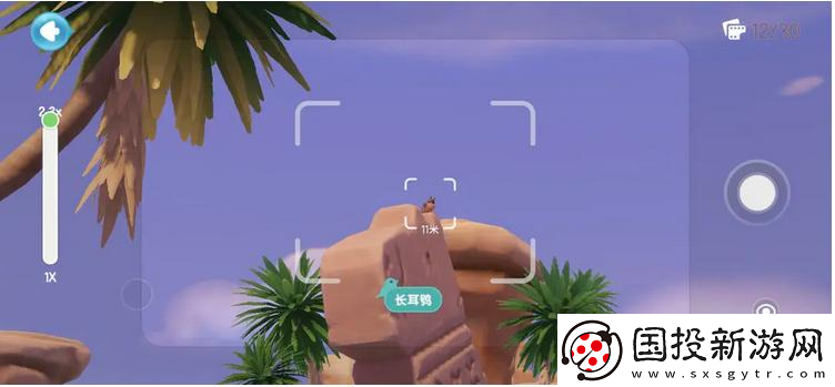 心动小镇海鸥在哪