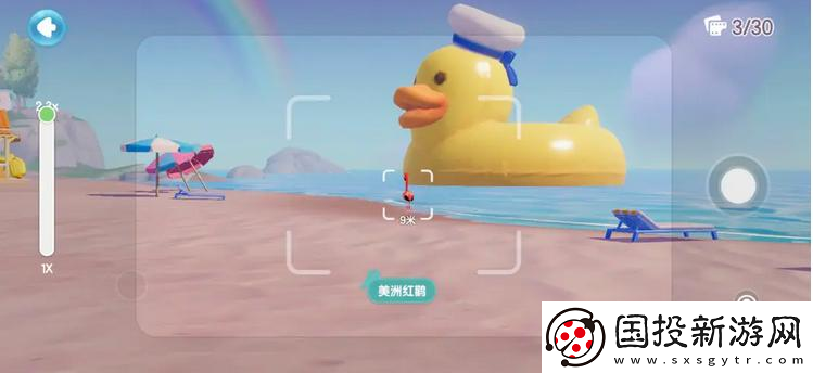 心动小镇海鸥在哪