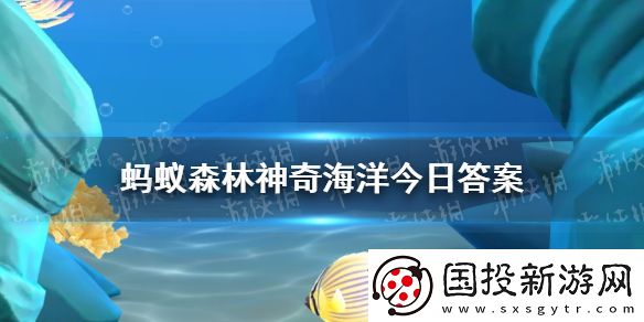蜘蛛蟹生活在海洋里还是陆地上