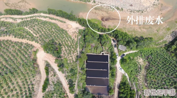 白鹿的隐身部位黄
