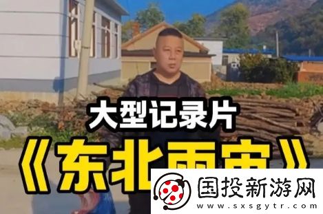 东北雨宙是什么梗网络用语