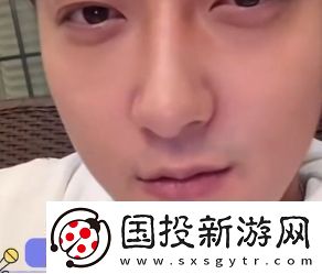 白磷型人格是什么梗络用语