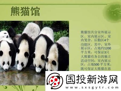 动物森林法则莎雯原型介绍及特点