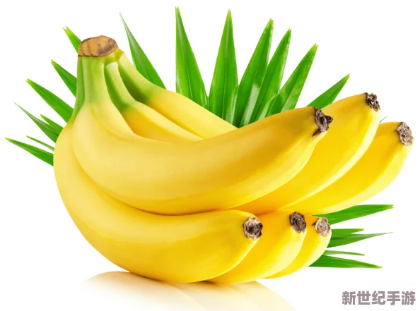 香蕉911