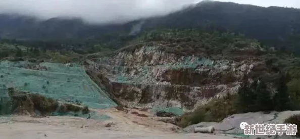 龟波性功