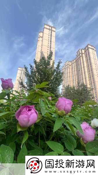 国色天香A区与B区