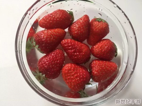 草莓视频18