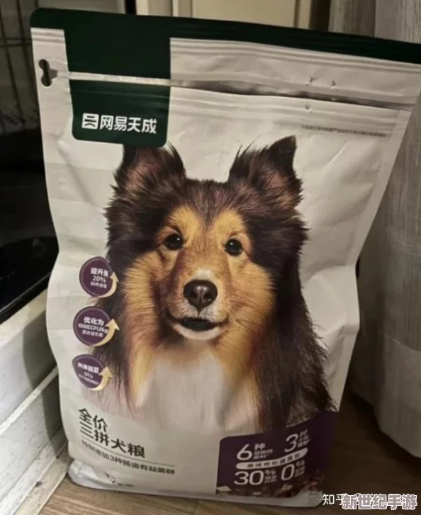 人狗胶配方大全狗狗一