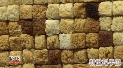 俄罗斯人与ZOOM人的性格差异
