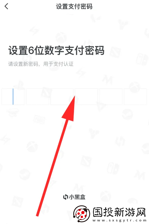 小黑盒怎么设置支付密码