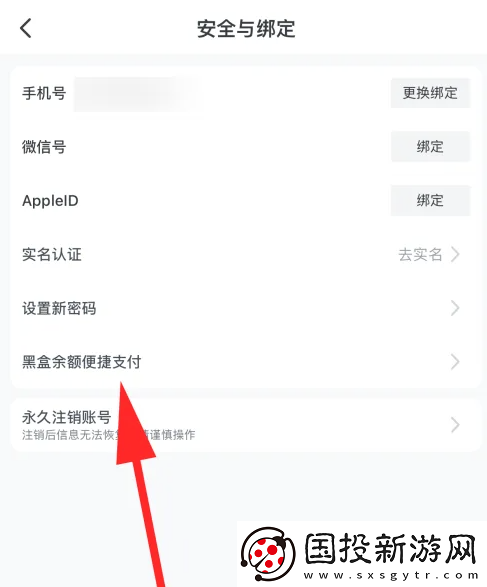 小黑盒怎么设置支付密码