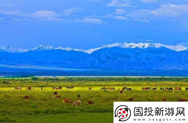 新疆昭苏县被誉为“天马之乡”对不对