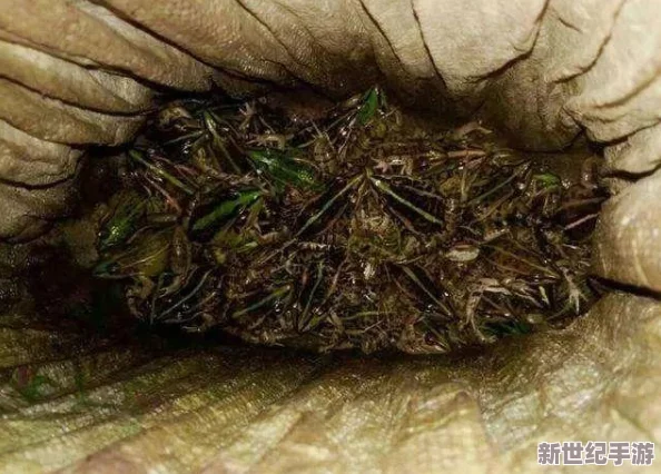 夜间禁止的10款软件b站